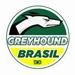 tv greyhound brasil